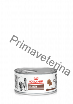 Royal Canin VD Cat/Dog konz. Recovery 195 g