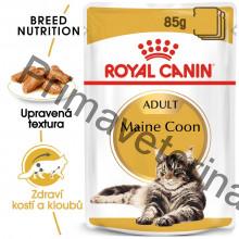 Royal Canin kapsička Maine Coon 12 x 85 g
