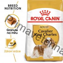 Royal Canin BREED Kavalír King Charles 1,5 kg