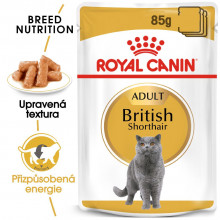 Royal Canin kapsička British Shorhair 12 x 85 g