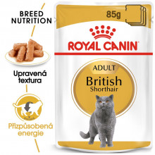 Royal Canin kapsička British Shorhair 12 x 85 g