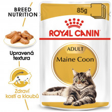 Royal Canin kapsička Maine Coon 12 x 85 g