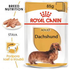 Royal Canin Jezevčík Loaf kapsička 12 x 85 g