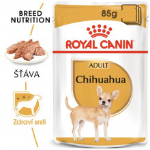 Royal Canin Čivava Loaf kapsička 12 x 85 g