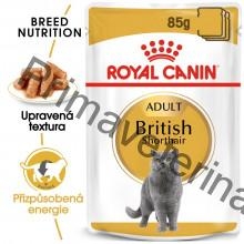 Royal Canin kapsička British Shorhair 12 x 85 g