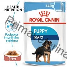 Royal Canin Maxi Puppy kapsička 10 x 140 g