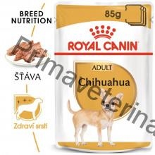 Royal Canin Čivava Loaf kapsička 12 x 85 g