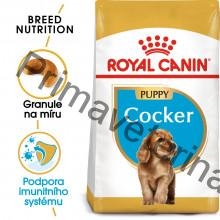 Royal Canin BREED Kokr Puppy 3 kg