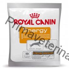 Royal Canin snack ENERGY 50 g