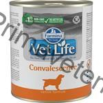  Vet Life Natural Canine konz. Convalescence 300 g 